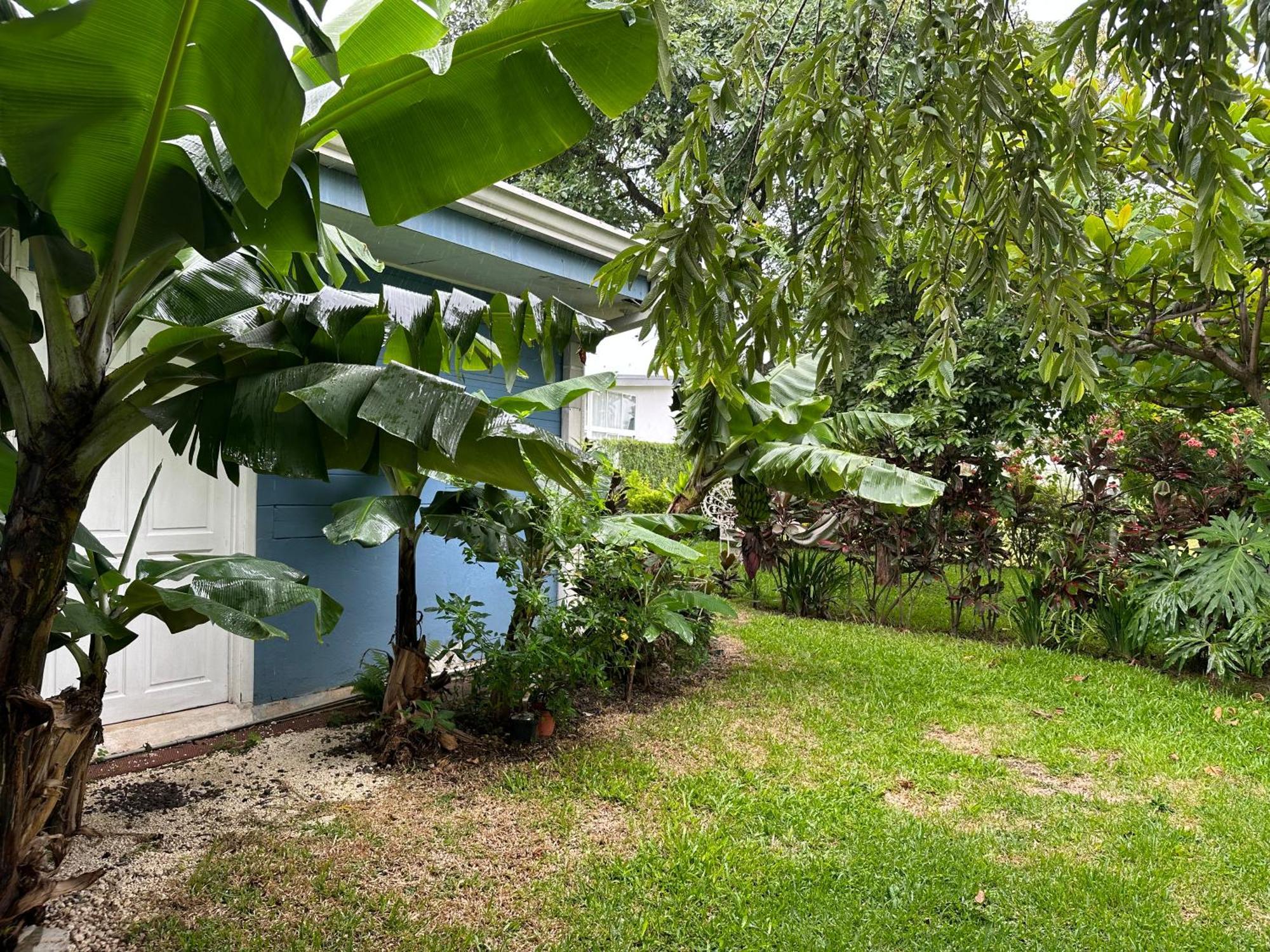Casa Stella Heredia Exterior foto